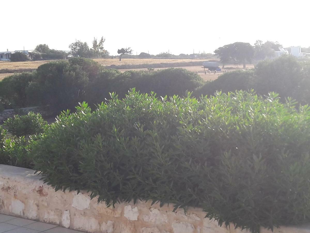 La Maison D'Helene ناوسا المظهر الخارجي الصورة
